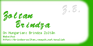 zoltan brindza business card